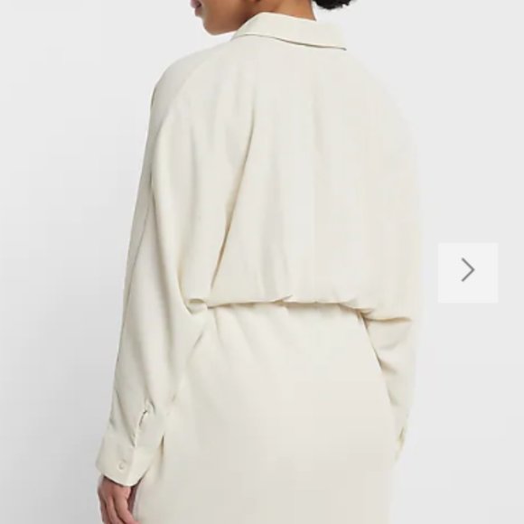 Collared Half Button Up Mini Portofino Shirt Dress - Picture 2 of 5